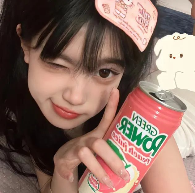 天网狼蛛